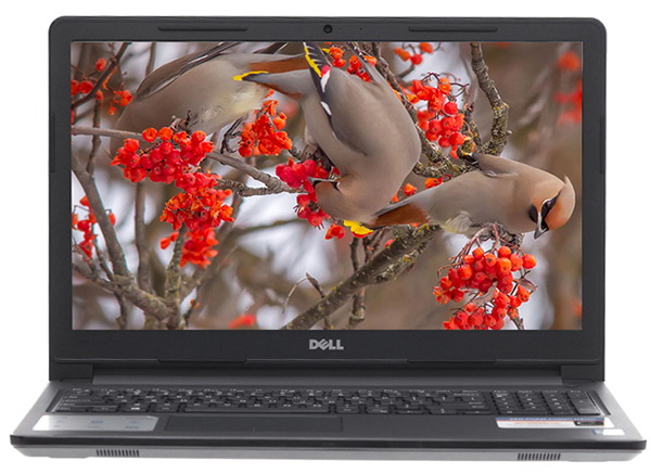 Cách nhận biết laptop lắp được card màn hình rời hay không?