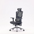 Ghế công thái học Sihoo M90C