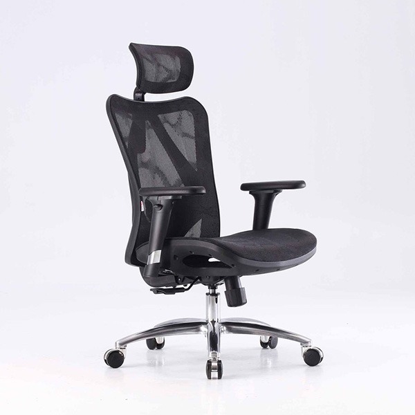 Ghế công thái học Sihoo M57