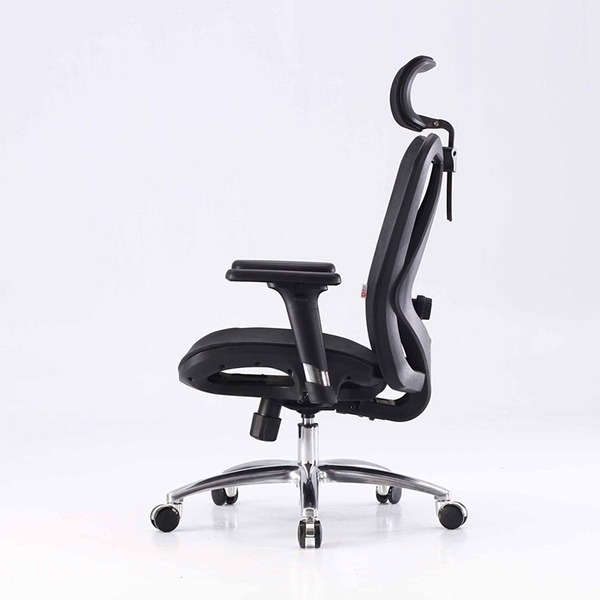 Ghế công thái học Sihoo M57