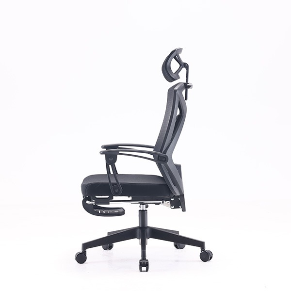 Ghế công thái học Sihoo M92B