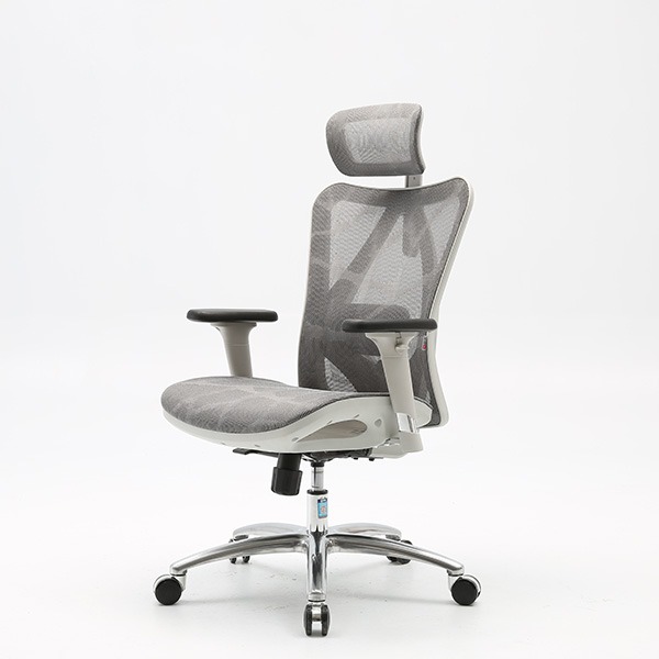 Ghế công thái học Sihoo M57 Full Grey